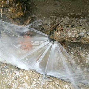 莱城消防管道漏水检测